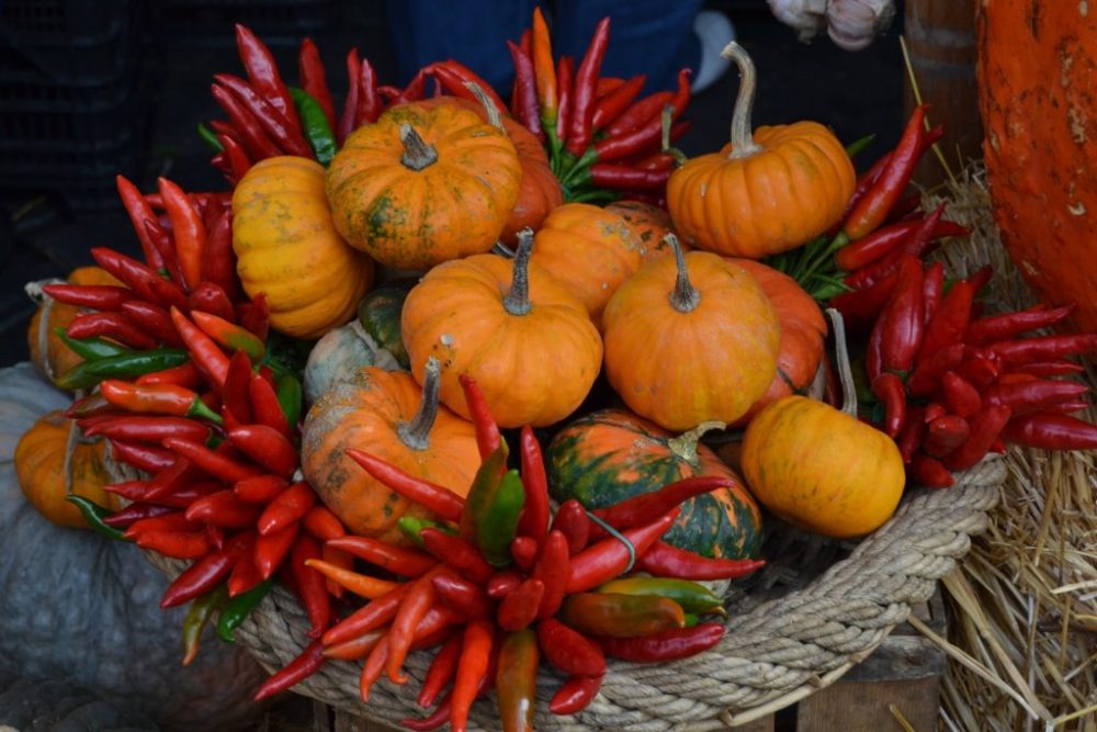 Alimentos de la temporada de otoño