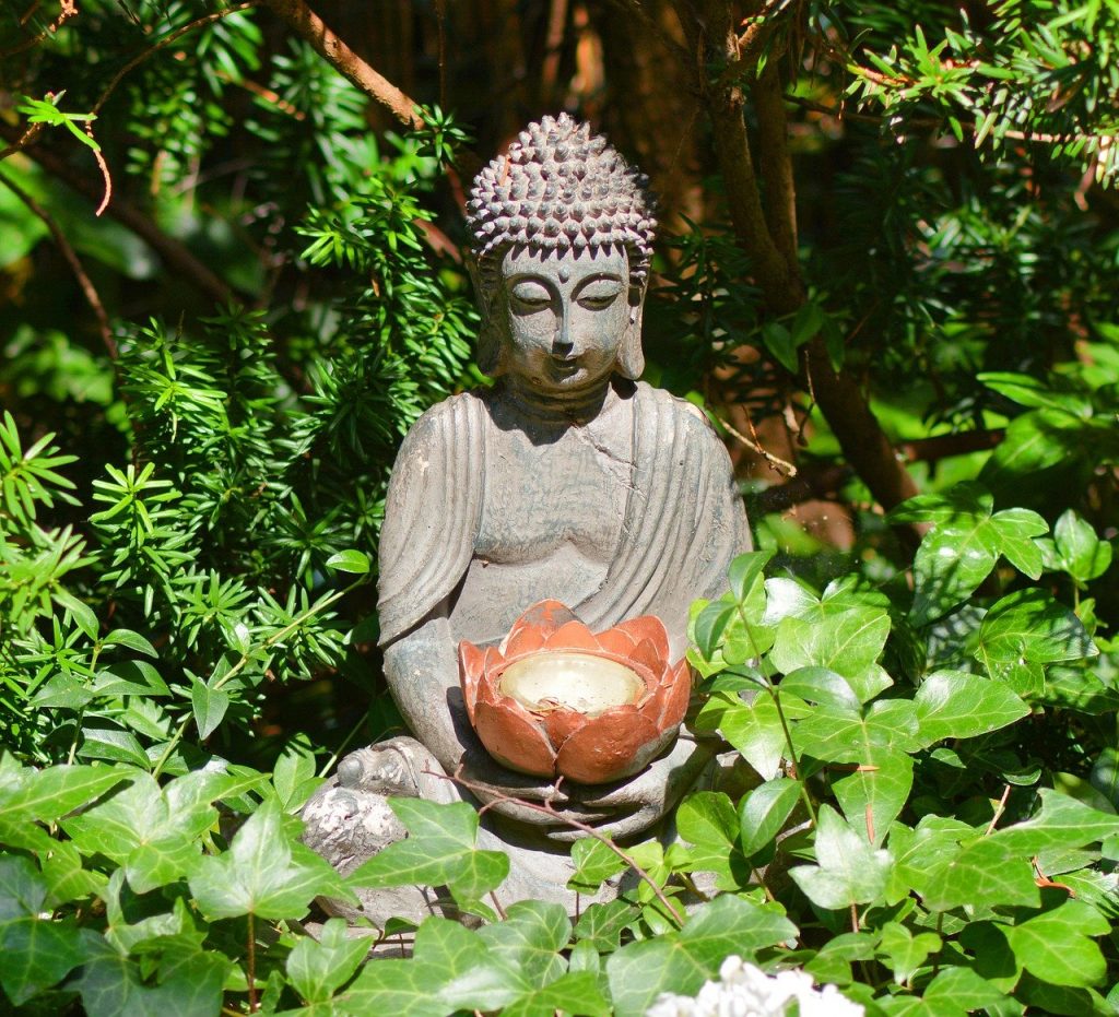 Buddha_buddha bowl